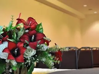 ***  Hotel Pandan 新山 马来西亚